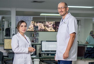 Ingresa al Plan anual de compras